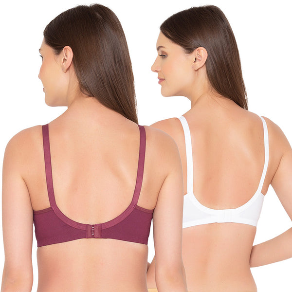 Buy Groversons Paris Beauty Pack of 2 Full Support Non Padded Non Wired  Plus Size Basic Bra (COMB27-C06-C06-32B) White at