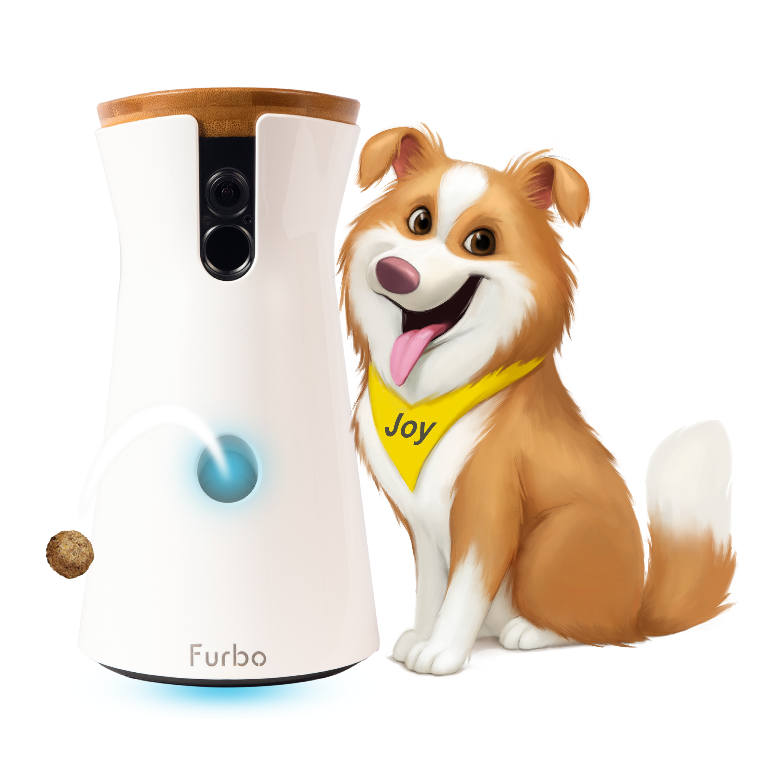 Furbo Dog Camera Avis : Meilleur accessoire pour votre chien ?