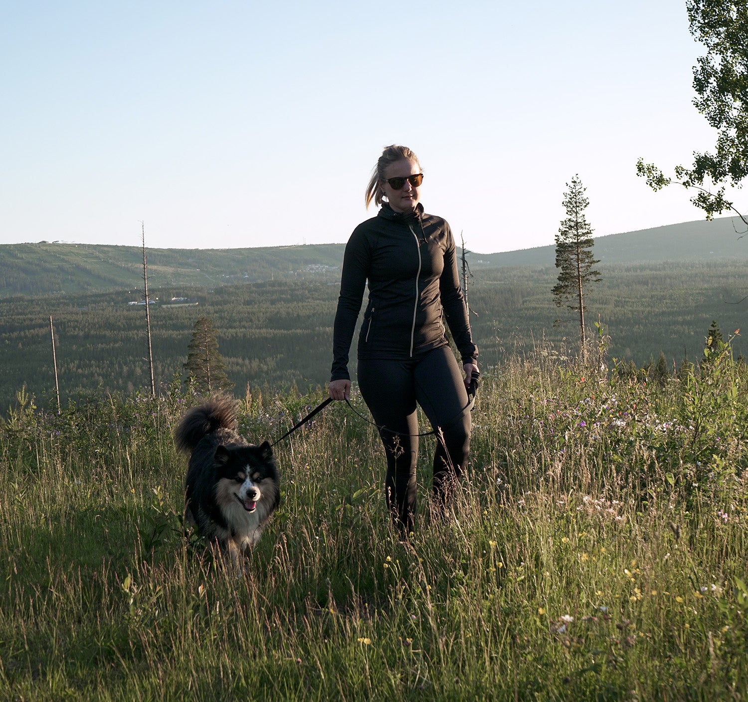 Vandra med hund. På bilden: Finsk lapphund | Back on Track