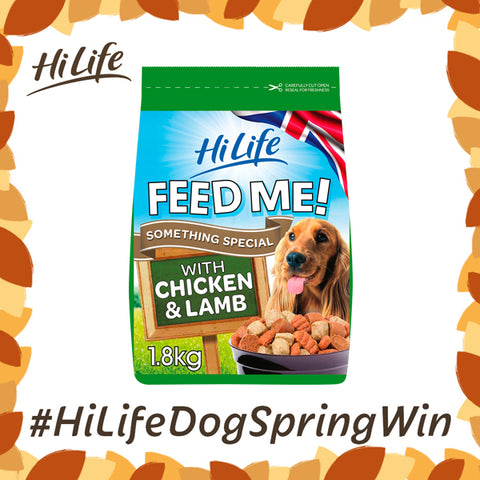 HiLife Dog food Spring Win Competition - Terms and Conditions
