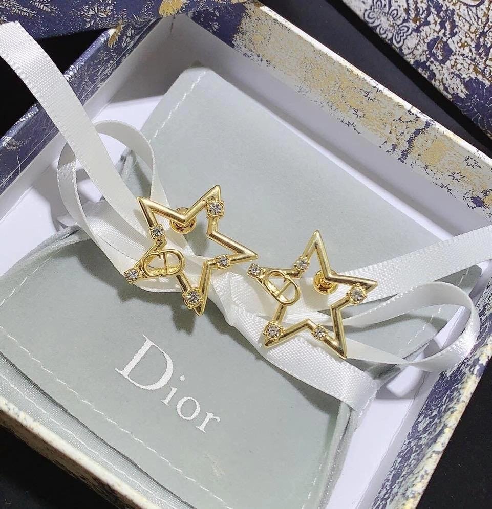 DIOR New earrings-18