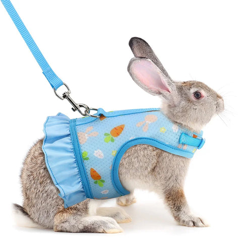 pull pour lapin