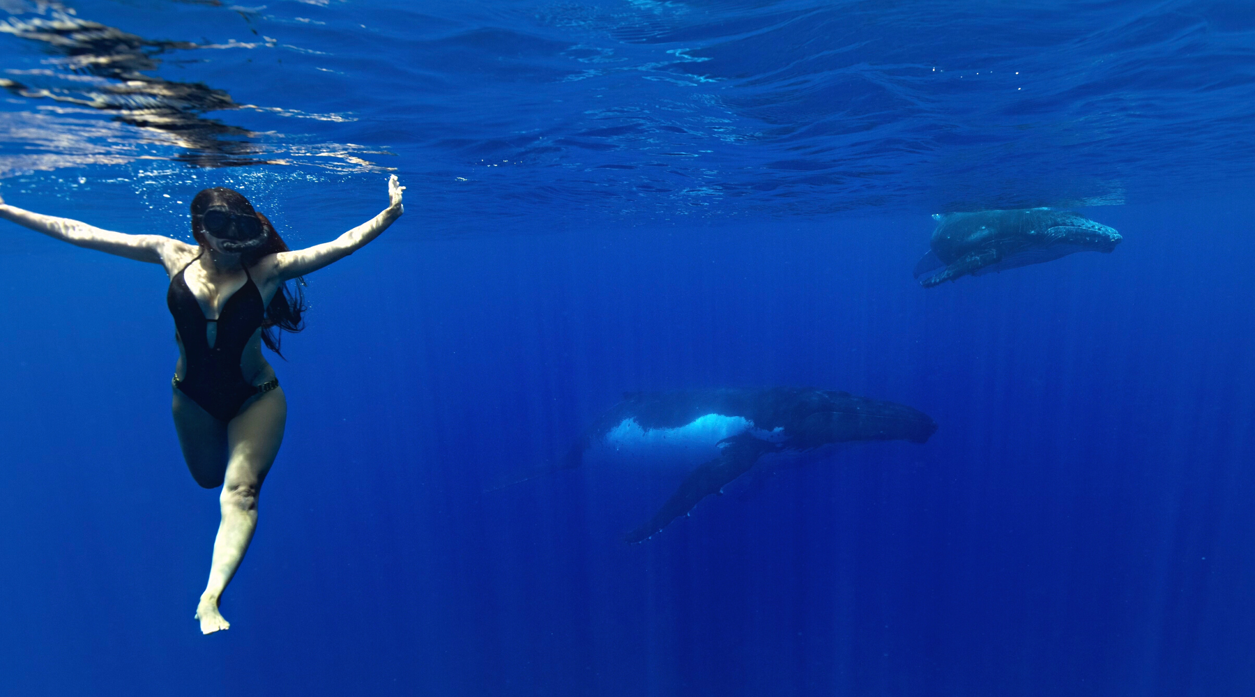 Anahera, founder of Anapa Jewelry Swimming with Humpback whales in Tahiti