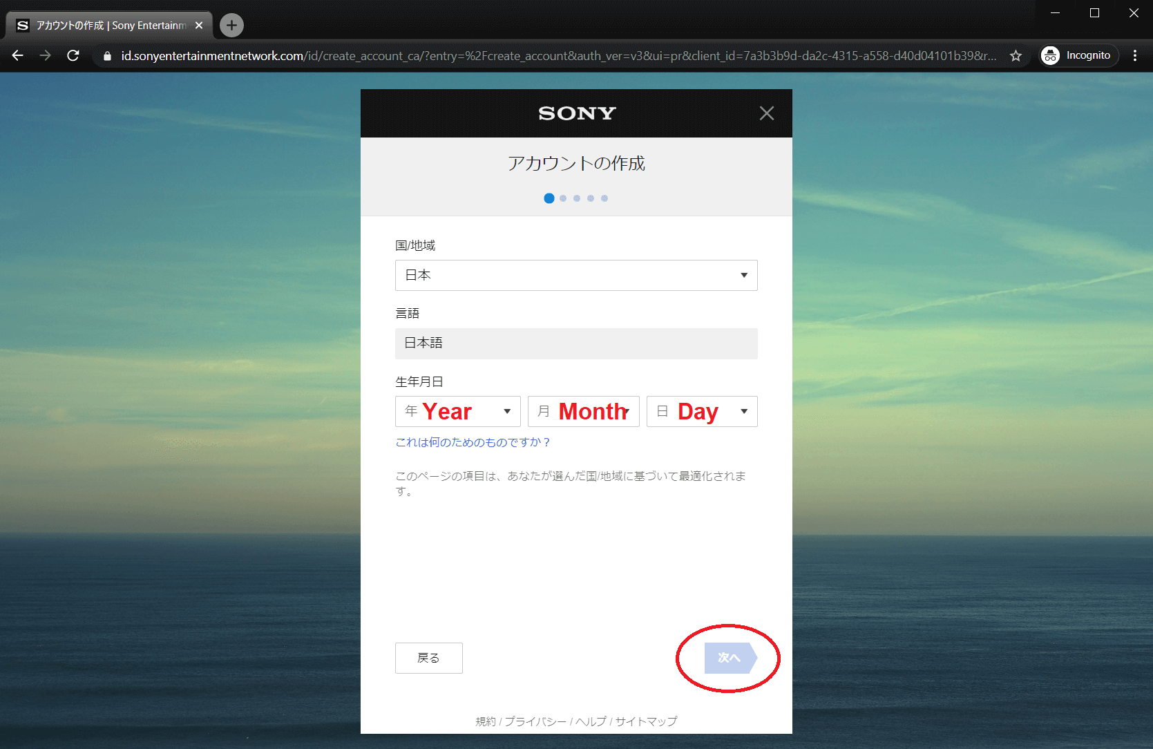 Create Japanese PSN Account Step. 4