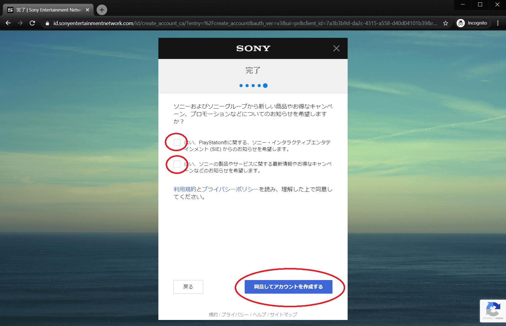 Create Japanese PSN Account Step. 8