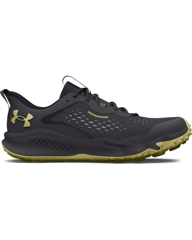 Men's UA Charged Assert 10 Running Shoes