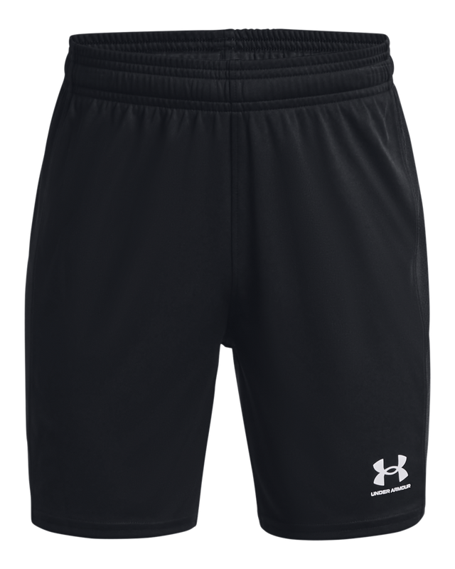 Picture of Boys' UA Challenger Knit Shorts