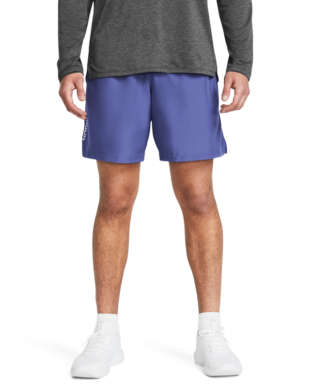 Picture of Men's UA Woven Wordmark Shorts