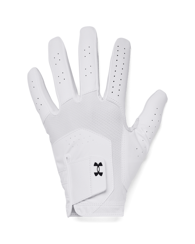 Picture of Men's UA Iso-Chill Golf Glove