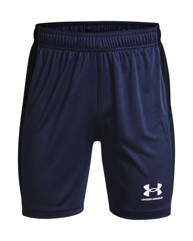 Picture of Youth UA Challenger Knit Shorts