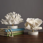 Marble Coral Collection
