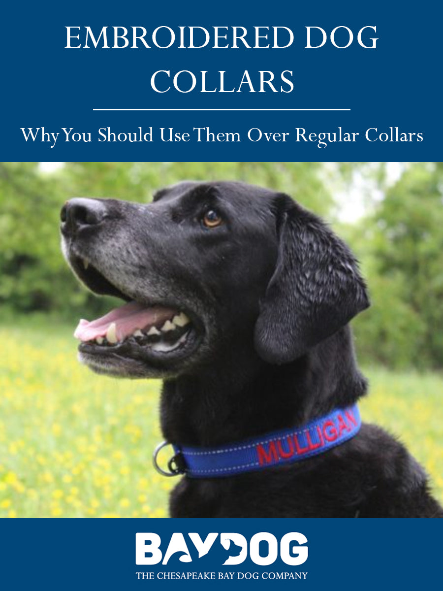 what are dog collars used for