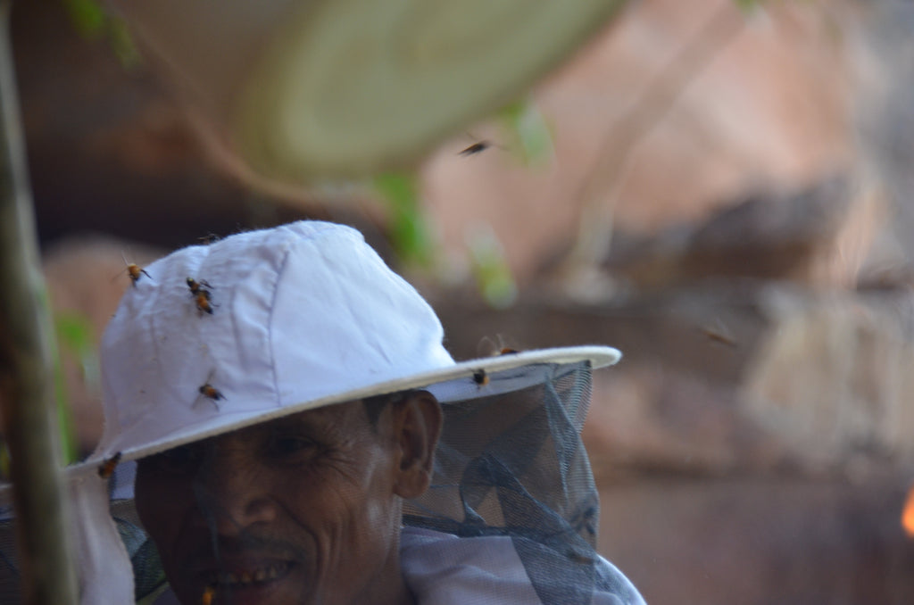 Honey Harvester of Kandhamal Forest, Odisha, India