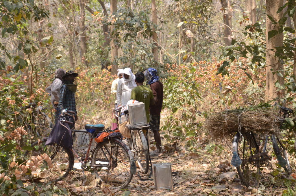 Honey hunter of india in wild forest harvesting honey 2023