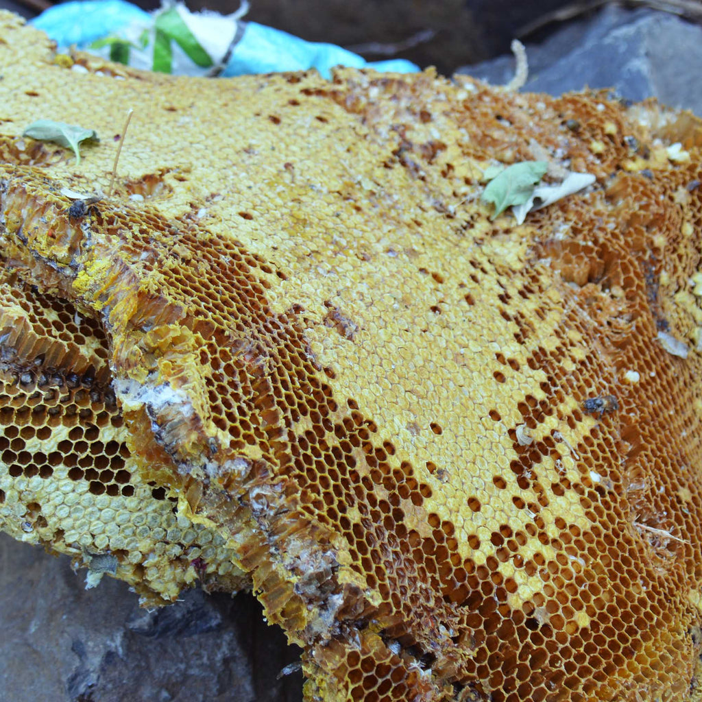 Harvester of pure organic honey
