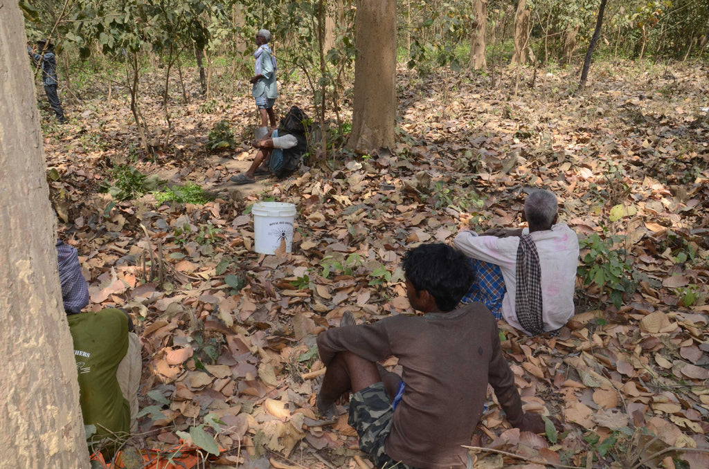 Royal Bee Brothers Honey Harvester