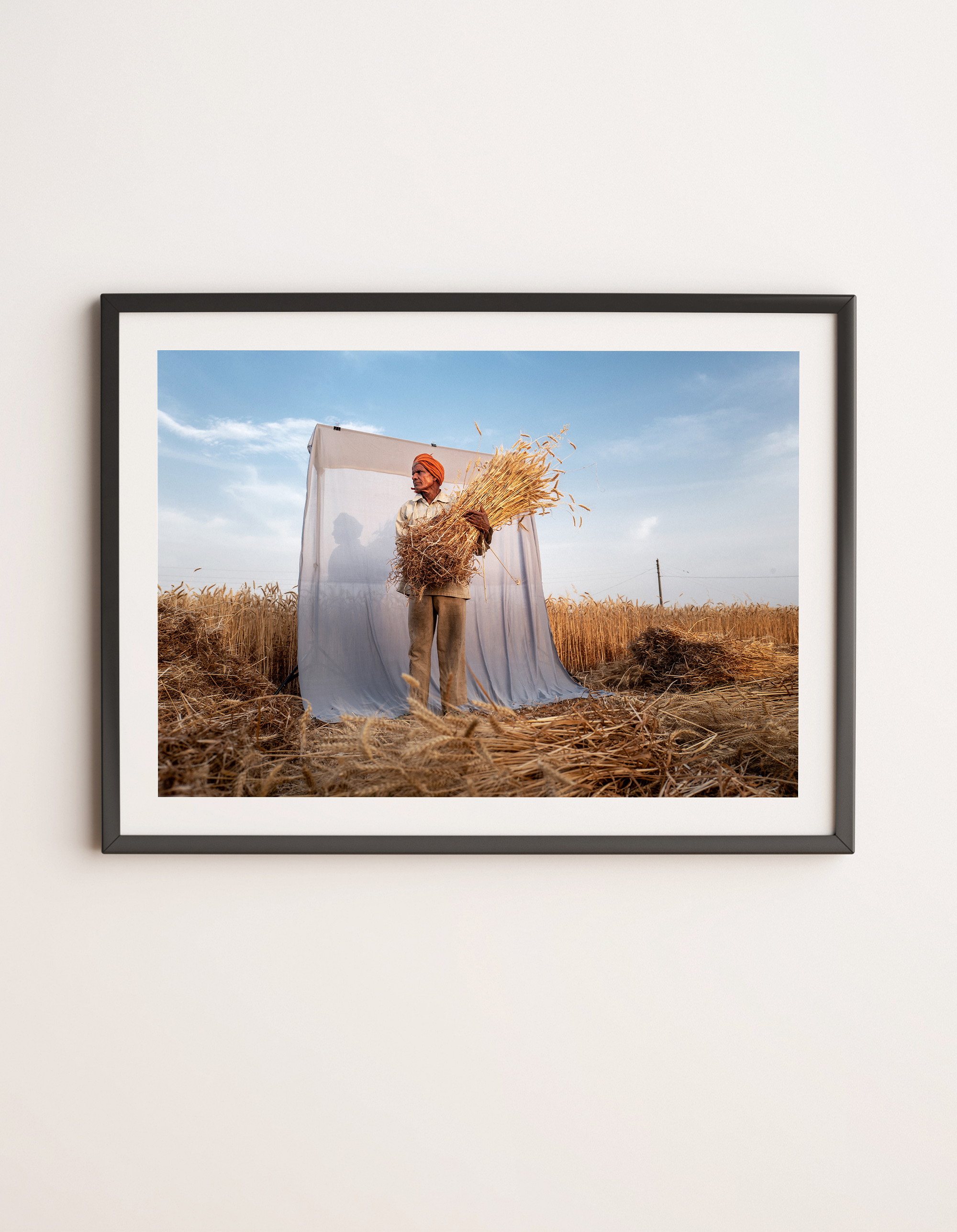 The Harvest, Prints by Shivam