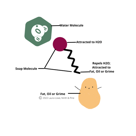 How a Soap Molecule Works, copyright 2022 Laura Lowe, Ninth & Pine