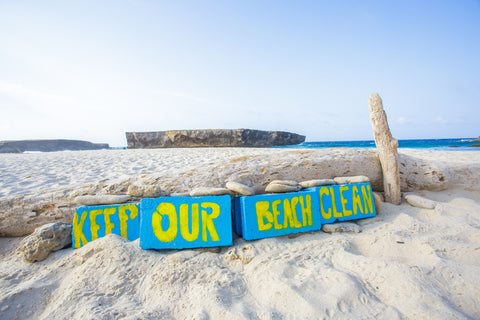 Beach Clean-Ups