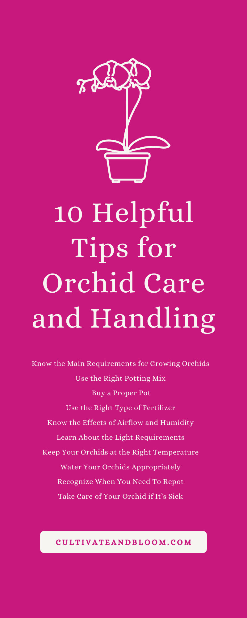 10 Helpful Tips for Orchid Care and Handling