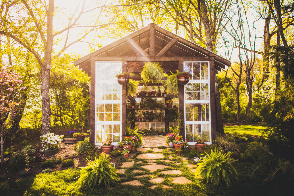 Virginia Greenhouse for Weddings