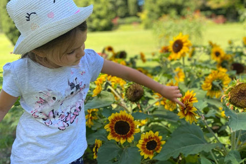 Ultime idee per l'estate - attività Montessori all'aperto - 4+ anni