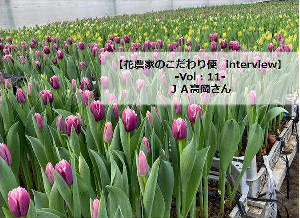 花農家のこだわり便interview Vol 10 ハナノヒ 365days 季節の花が毎月届くサブスクリプション 日比谷花壇