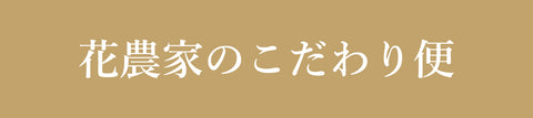 ハナノヒ365：2023年12月のお届け商品【花農家のこだわり便】