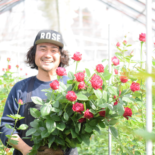 美咲 切花延命剤 320㎖ – ハナノヒ 365days | 季節の花が毎月届く