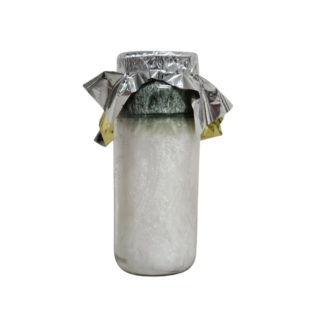 Santa Muerte Blanca Veladora de Palma / Holy Death in White Astral Candle