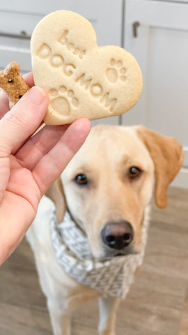 Dog Mom Shortbread Cookie with a dog