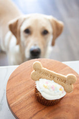 Dog with a Dog-Friendly Cupcake