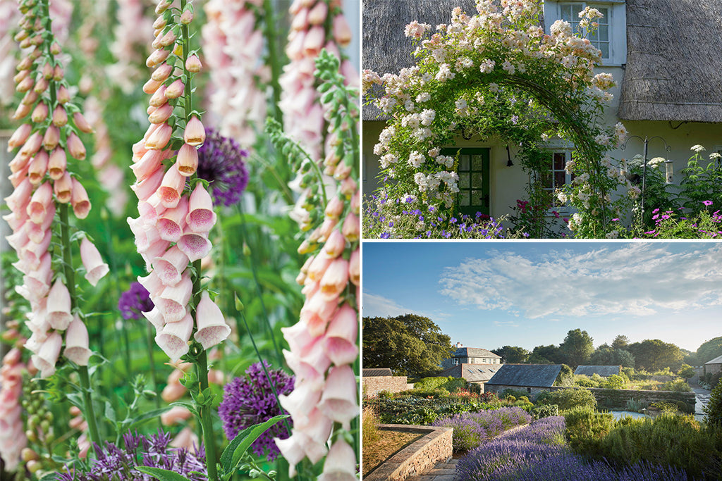 Beautiful British Gardens