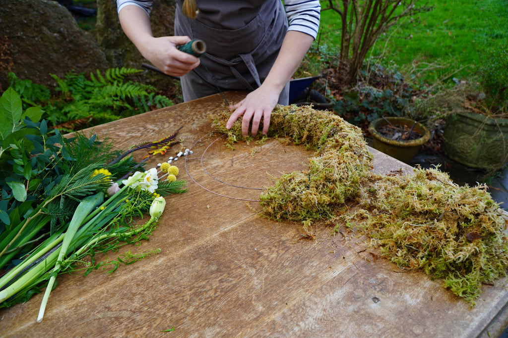 Making a living wreath with a moss base