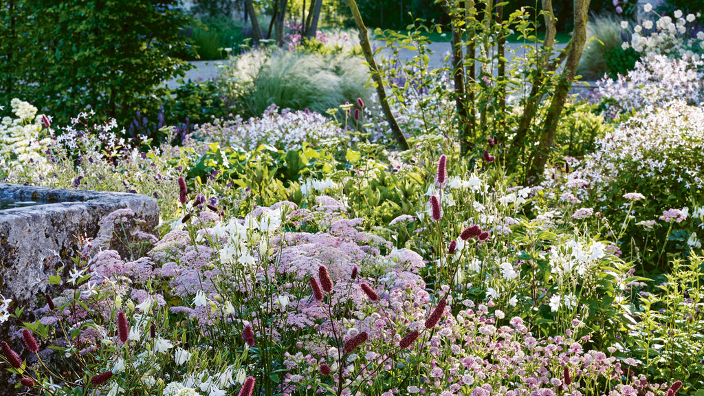 A day out with the Royal Horticultural Society