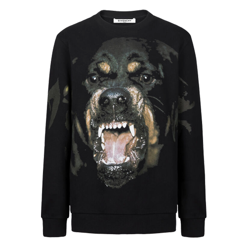 jumpers for rottweilers