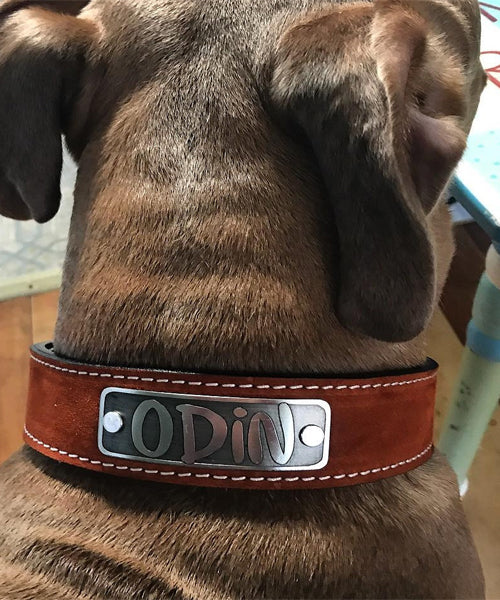 personalized dog name plates