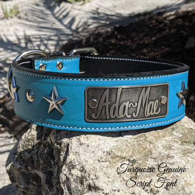 leather dog collar with stars