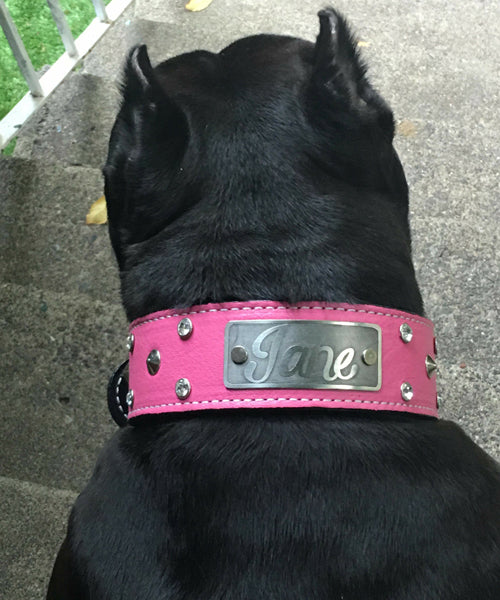 thick dog collars