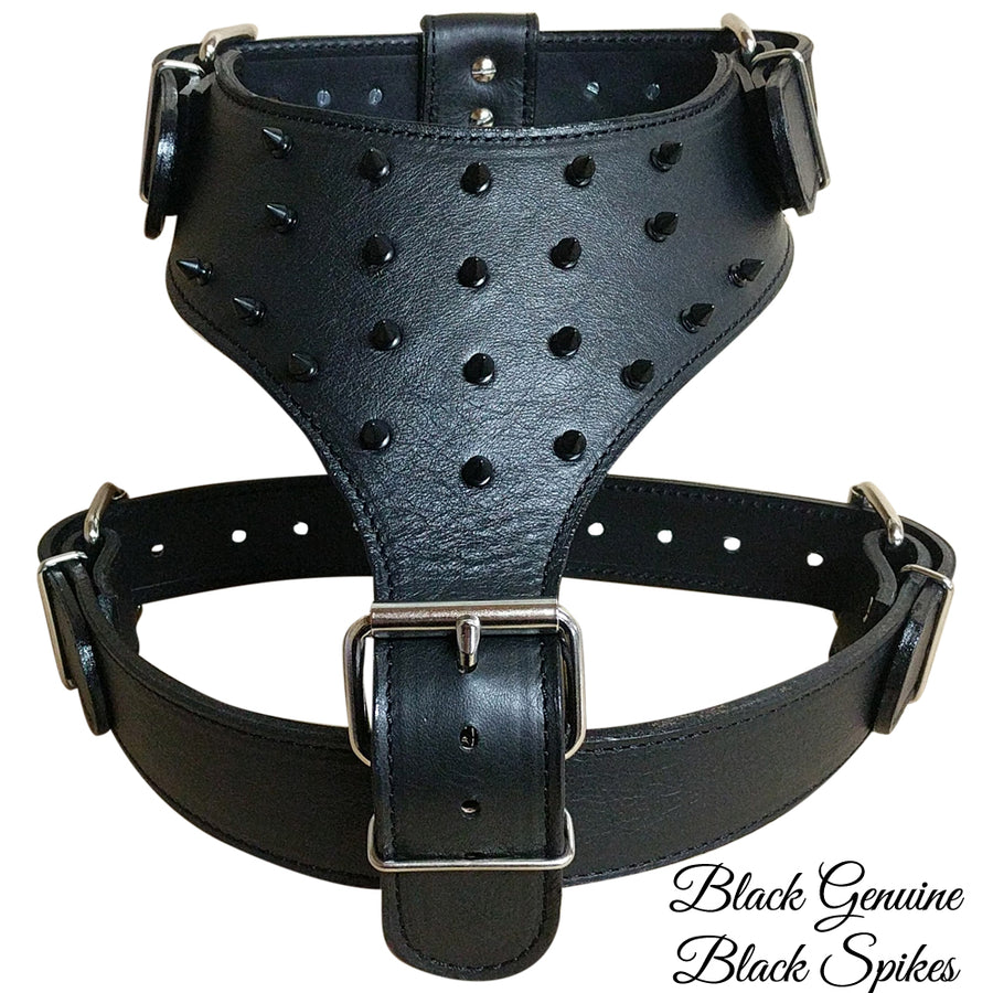 Harnesses - Spiked - Pit Bull Gear