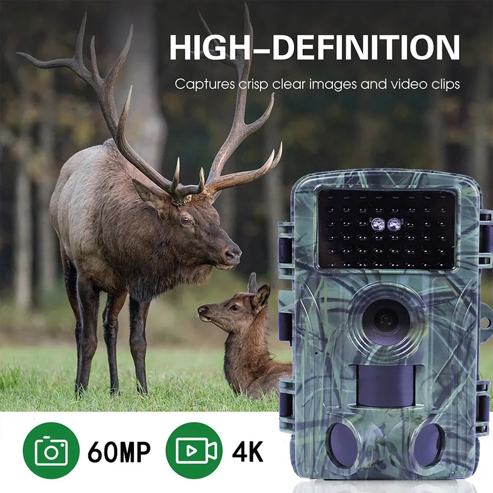 Deer hunting camera with 60MP and 4K video capabilities, camouflaged for recording hunts, capturing a serene moment of an elk and its calf in a lush field.