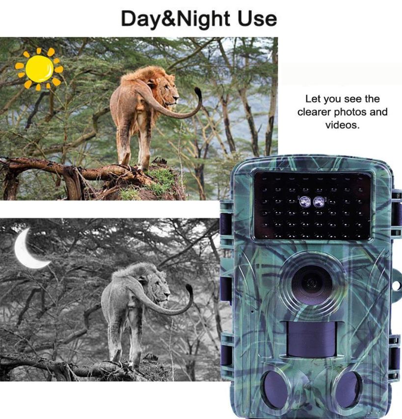 Discover the best trail camera for hunting, capturing day and night images with exceptional clarity to document nature’s most elusive wildlife.