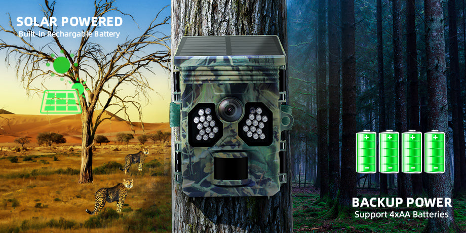 Camouflaged solar-powered camera with advanced night vision for wildlife monitoring in arid and dark forest environments.