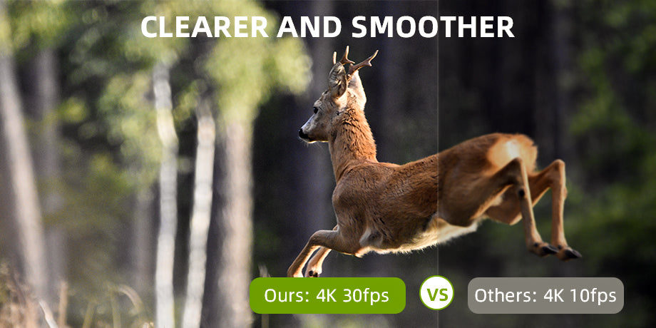 Comparison of a deer captured mid-jump by the best solar powered trail camera, demonstrating superior clarity and smoothness.