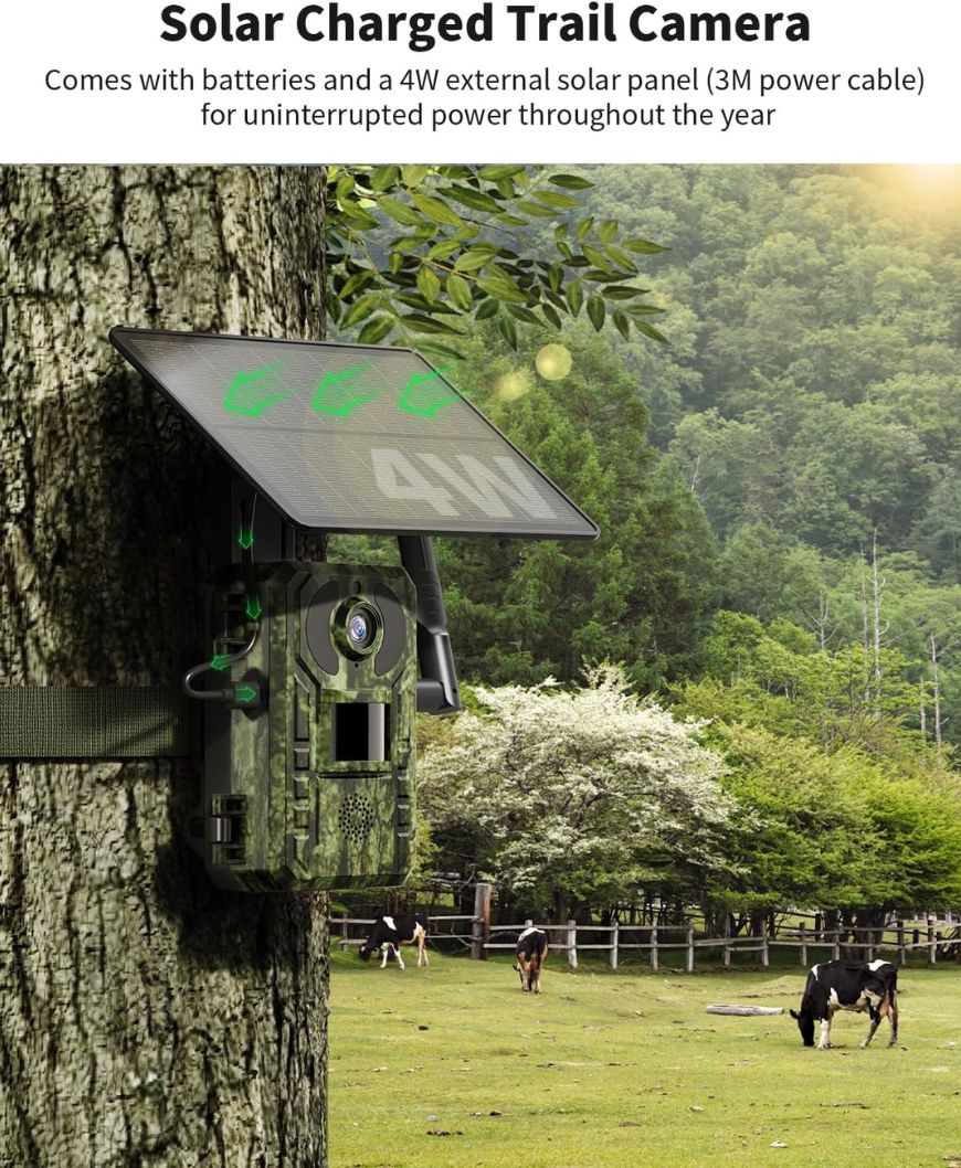 An outdoor Solar Cameras Security system, featuring a camouflaged trail camera attached to a tree, powered by an overhead 4W solar panel, set in a serene natural environment with horses grazing in the background.