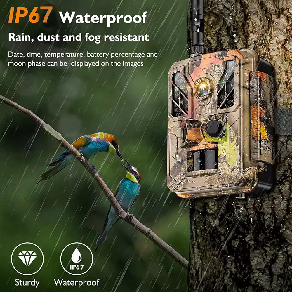 The best trail camera for hunting is showcased, featuring IP67 waterproof technology, securely mounted on a tree in a lush forest, ready to capture wildlife activity in any weather condition.
