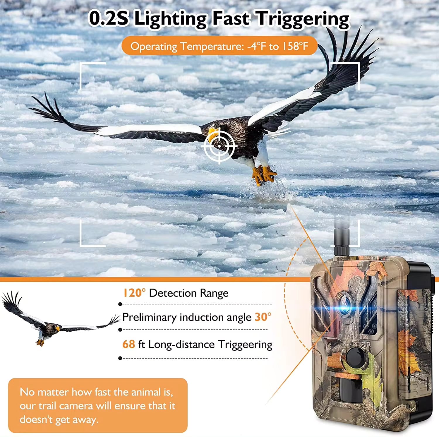 A hunting trail camera captures a majestic eagle in mid-flight with a 0.2S lightning-fast trigger speed, ensuring every rapid movement in the wilderness is recorded with precision.
