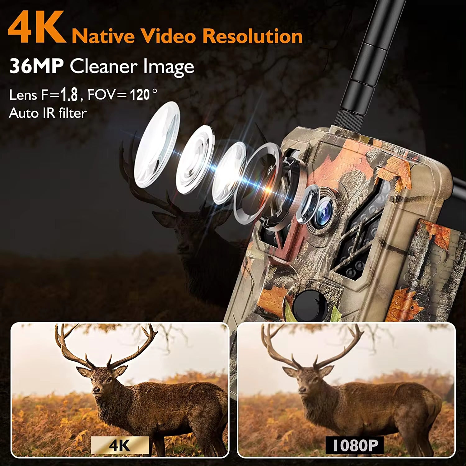 Capture the unseen details of wildlife with this 4k wifi trail camera, boasting a 36MP resolution and full HD video capabilities for the ultimate outdoor surveillance experience.