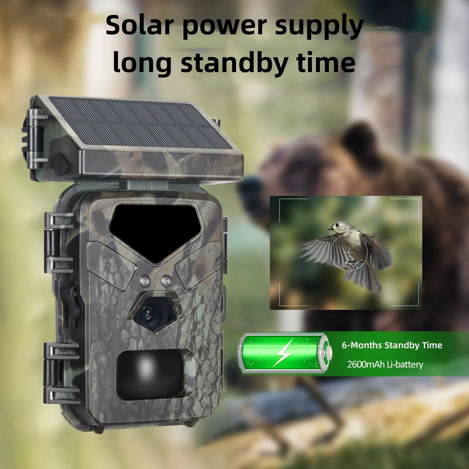 A solar trail camera with a camouflage design, equipped with a large solar panel for extended power supply, designed to capture clear images of wildlife, showcased with a long standby time of 6 months due to its 2600mAh Li-battery.
