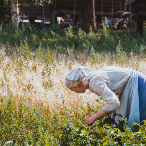 woman, field, work, harvest, picking